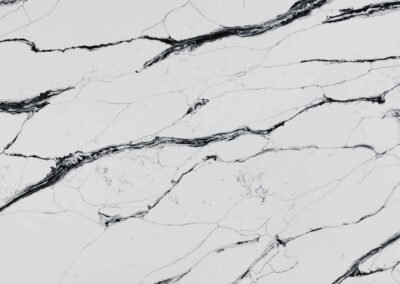 CALACATTA BLACK FUSION