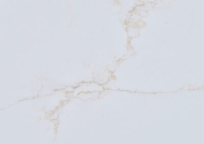 CALACATTA GOLD SOFT close up
