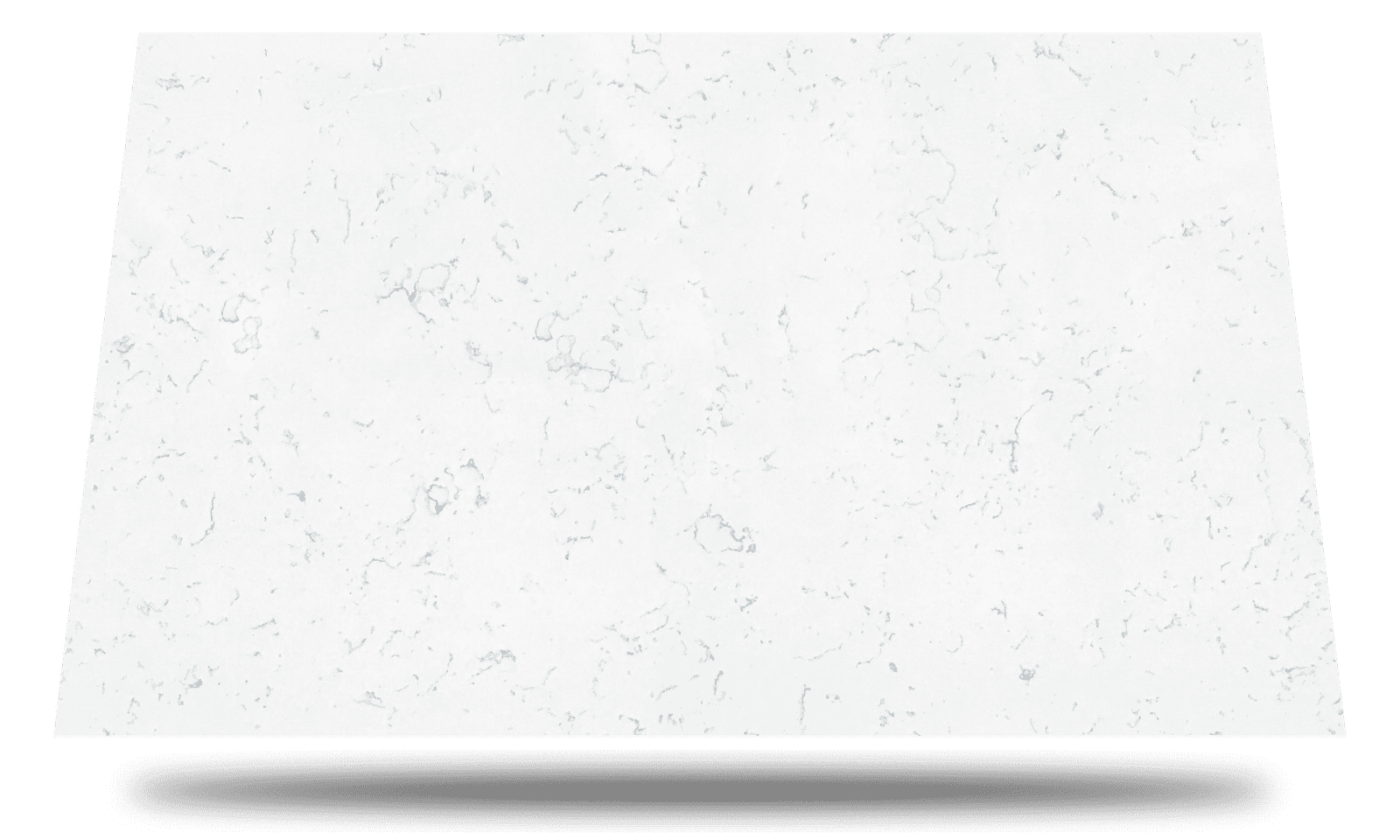 CARRARA SPRING Main