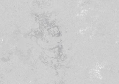 CONCRETE OYSTER 1