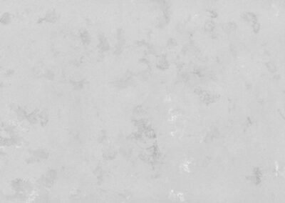 CONCRETE OYSTER