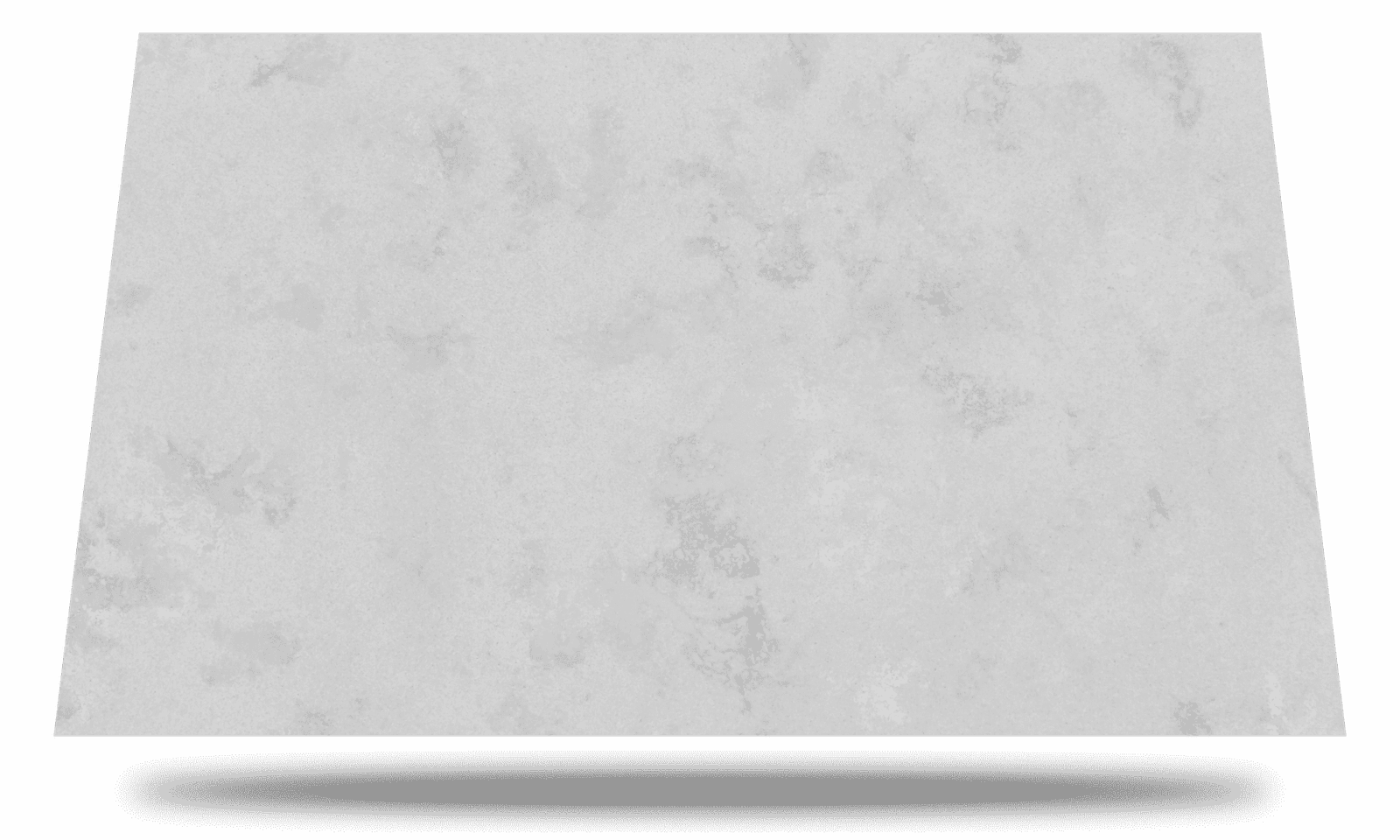 CONCRETE OYSTER Main