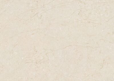 FS8038 Taj Mahal Elegance Slab 2023