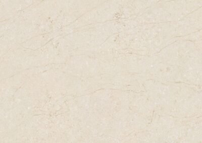 FS8038 Taj Mahal Elegance Slab